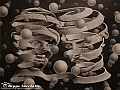 VBS_4989 - Mostra Escher